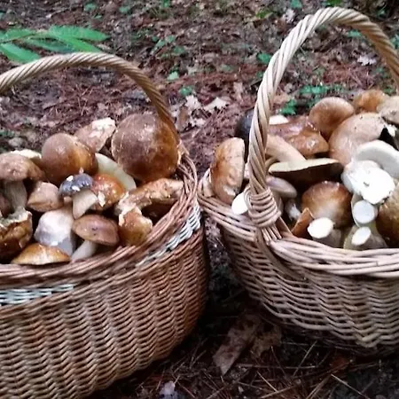 De Reve 别墅 Couze-et-Saint-Front